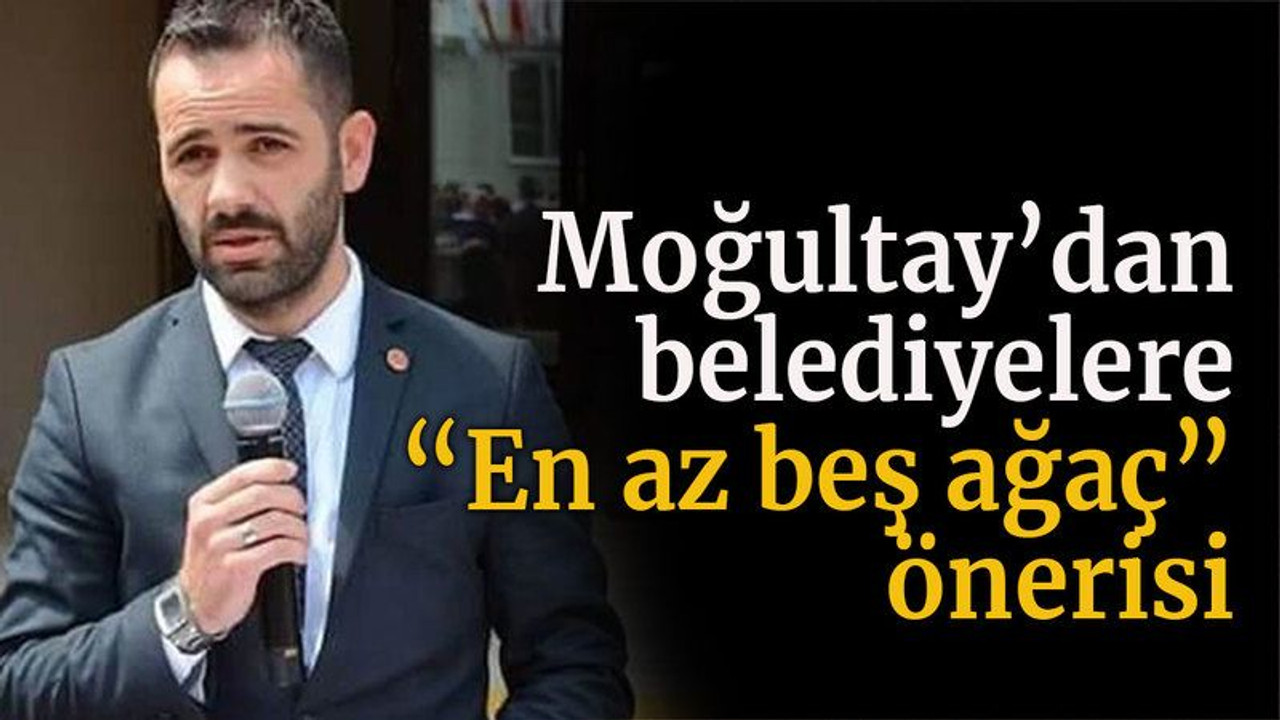 Moğultay’dan belediyelere “En az beş ağaç” önerisi